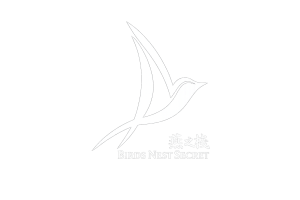 bird nest secret logo white